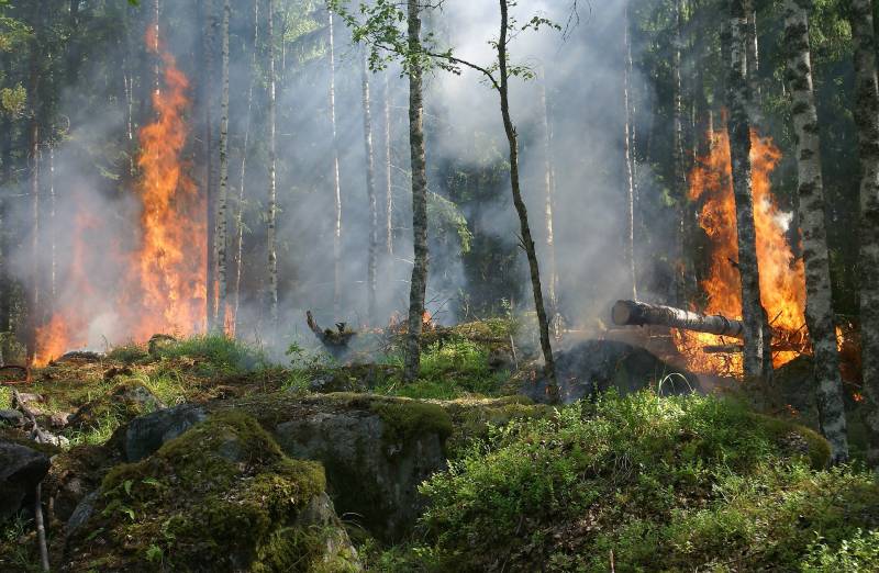 Les feux de forêt, en France 